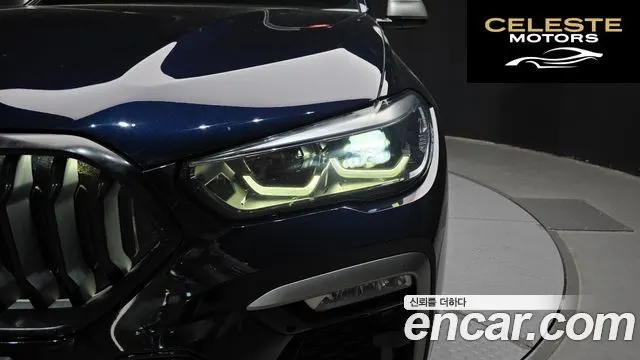 BMW X6 (G06) xDrive30d M Sport 2021 — photo 8 sur 30