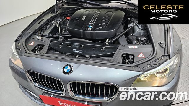 BMW Série 5 (F10) 520d 2014 — photo 6 sur 20