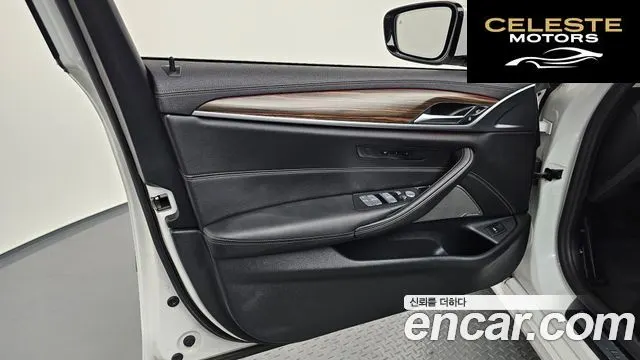 BMW Série 5 (G30) 530i xDrive Luxury 2023 — photo 13 sur 36