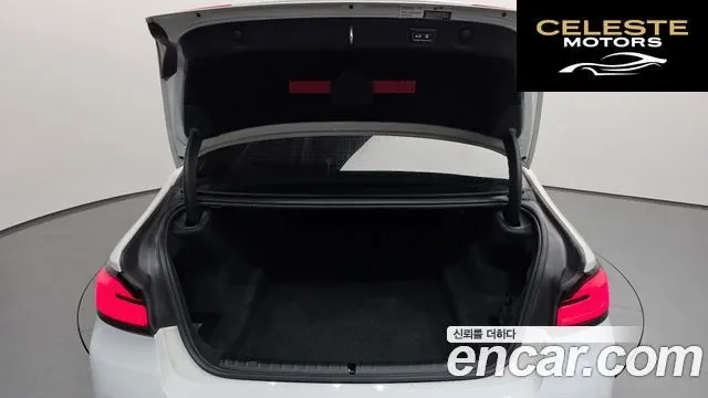 BMW Série 5 (G30) 530i xDrive Luxury 2023 — photo 24 sur 36