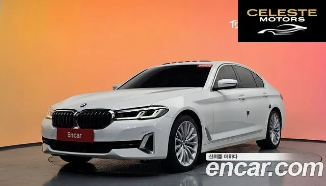 BMW Série 5 (G30) 530i xDrive Luxury 2023 — photo 36 sur 36