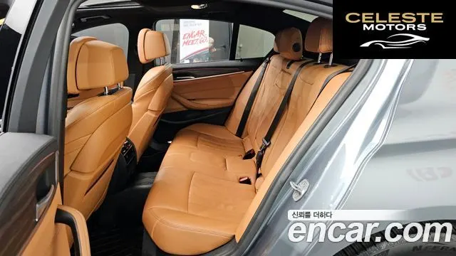 BMW Série 5 (G30) 530e M Sport 2020 — photo 16 sur 32