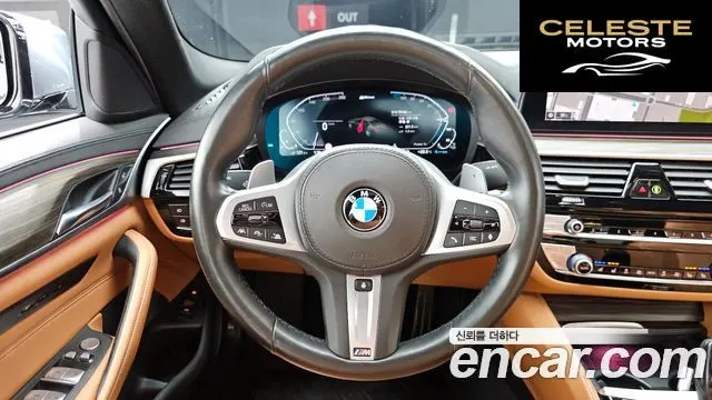 BMW Série 5 (G30) 530e M Sport 2020 — photo 19 sur 32