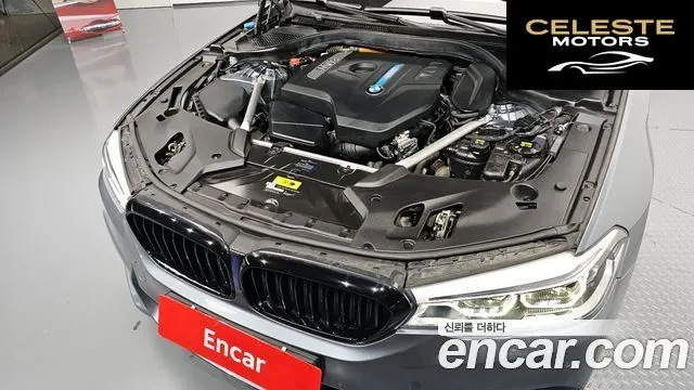 BMW Série 5 (G30) 530e M Sport 2020 — photo 6 sur 32