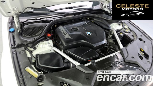 BMW Série 5 (G30) 530i Luxury Plus 2018 — photo 6 sur 26