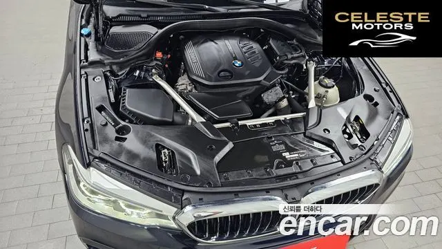 BMW Série 5 (G30) 520d M Sport Plus 2020 — photo 6 sur 33