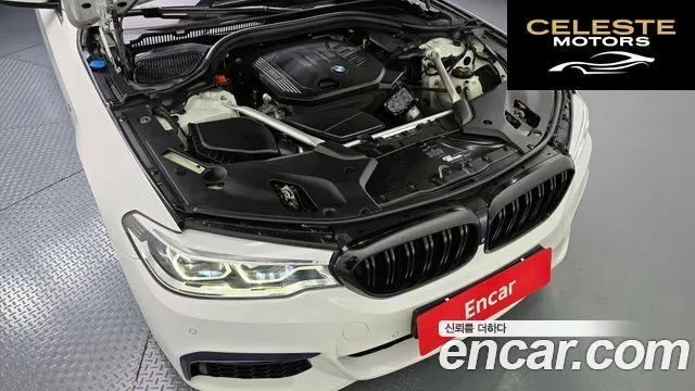 BMW Série 5 (G30) 520d M Sport Plus 2019 — photo 6 sur 35
