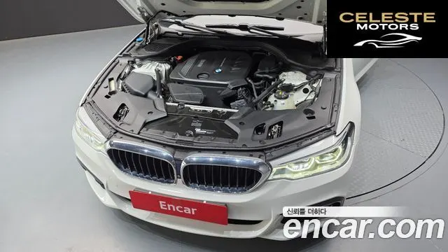 BMW Série 5 (G30) 520d xDrive M Sport Plus 2017 — photo 6 sur 35