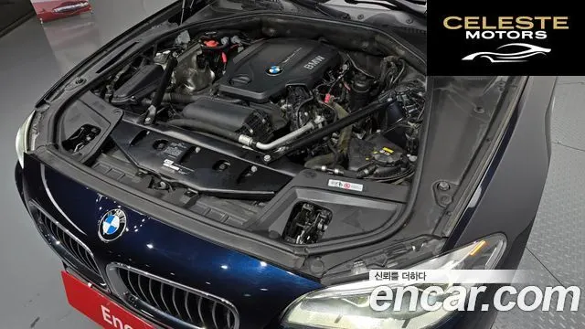 BMW Série 5 (F10) 520d M Aéro Dynamic 2016 — photo 6 sur 20