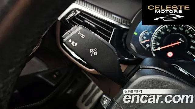 BMW Série 5 (G30) 530i M Sport Plus 2017 — photo 30 sur 34