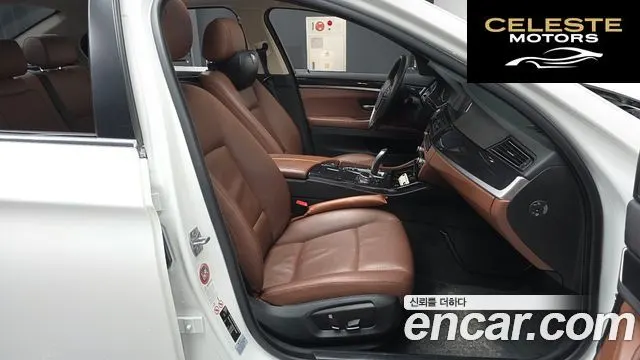 BMW Série 5 (F10) 520d xDrive 2015 — photo 11 sur 20