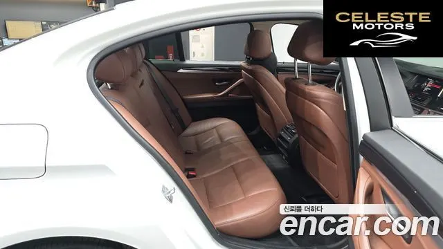 BMW Série 5 (F10) 520d xDrive 2015 — photo 12 sur 20