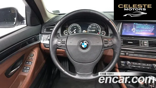 BMW Série 5 (F10) 520d xDrive 2015 — photo 13 sur 20