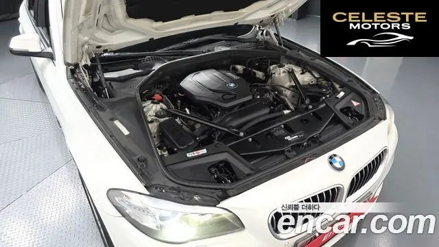 BMW Série 5 (F10) 520d xDrive 2015 — photo 6 sur 20
