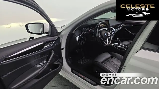 BMW Série 5 (G30) 520d Luxury Plus 2019 — photo 13 sur 32