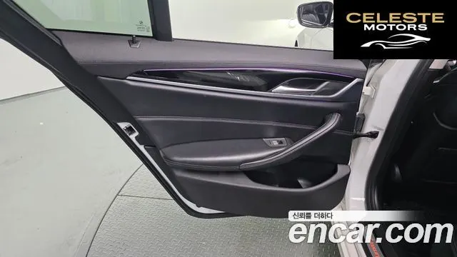 BMW Série 5 (G30) 520d Luxury Plus 2019 — photo 15 sur 32