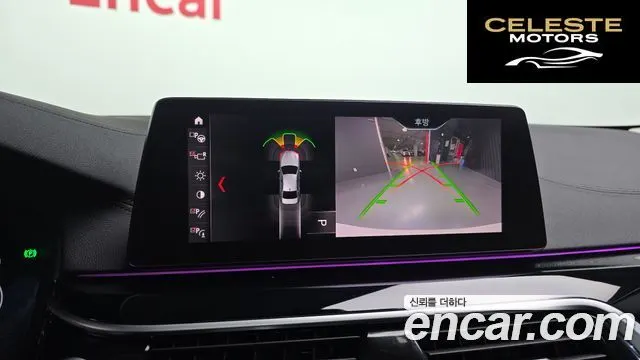 BMW Série 5 (G30) 520d Luxury Plus 2019 — photo 20 sur 32