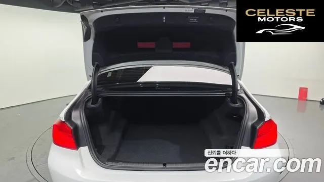 BMW Série 5 (G30) 520d Luxury Plus 2019 — photo 26 sur 32