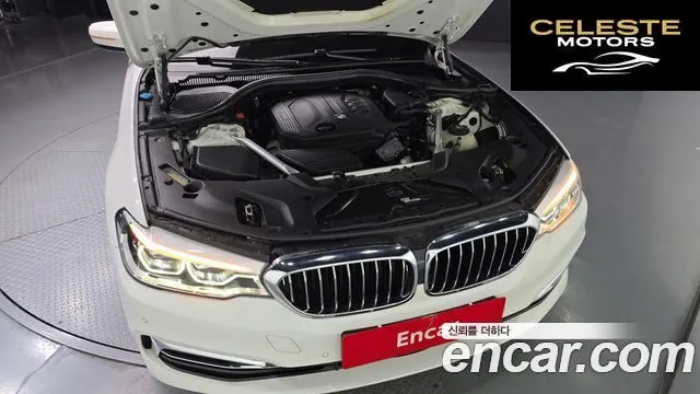 BMW Série 5 (G30) 520d Luxury Plus 2019 — photo 6 sur 32
