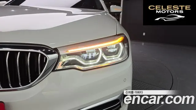 BMW Série 5 (G30) 520d Luxury Plus 2019 — photo 8 sur 32