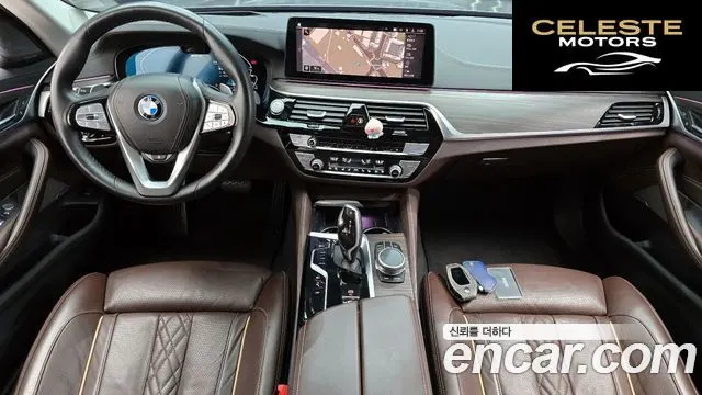 BMW Série 5 (G30) 530e Luxury 2022 — photo 10 sur 38