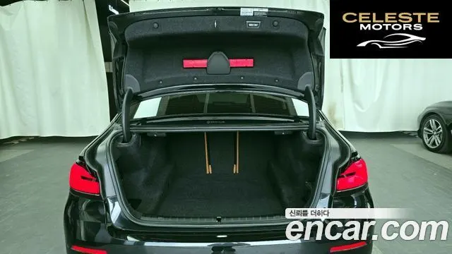 BMW Série 5 (G30) 520i Luxury 2022 — photo 26 sur 30