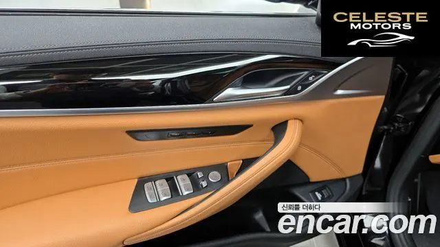 BMW Série 5 (G30) 520i Luxury 2022 — photo 27 sur 30