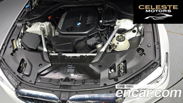 BMW Série 5 (G30) 520d M Sport Plus 2020 — photo 6 sur 35