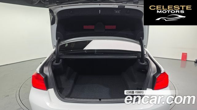 BMW Série 5 (G30) 520d Luxury Plus 2019 — photo 26 sur 32