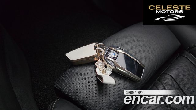 BMW Série 5 (G30) 520d Luxury Plus 2019 — photo 32 sur 32