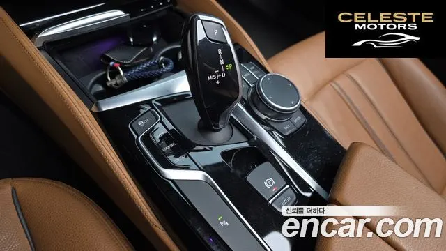 BMW Série 5 (G30) 520i Luxury 2020 — photo 11 sur 32
