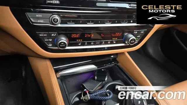 BMW Série 5 (G30) 520i Luxury 2020 — photo 29 sur 32