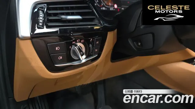 BMW Série 5 (G30) 520i Luxury 2020 — photo 31 sur 32