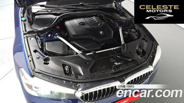 BMW Série 5 (G30) 520i Luxury 2020 — photo 5 sur 32