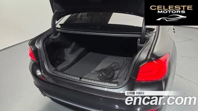 BMW Série 5 (G30) 530i xDrive Luxury Plus 2018 — photo 34 sur 41
