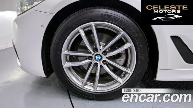 BMW Série 5 (G30) 520d M Sport Plus 2017 — photo 5 sur 26