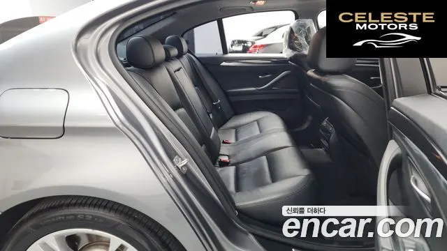 BMW Série 5 (F10) 520d xDrive 2016 — photo 16 sur 36