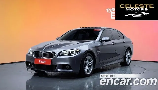 BMW Série 5 (F10) 520d xDrive 2016 — photo 36 sur 36