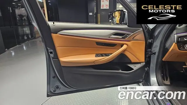 BMW Série 5 (G30) 520d M Sport Spécial Edition 2018 — photo 14 sur 31