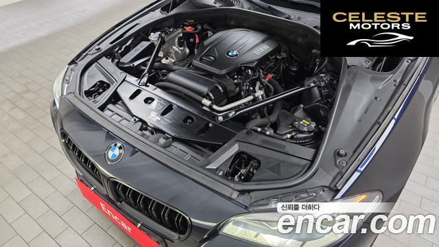BMW Série 5 (F10) 520d M Aéro Dynamic 2016 — photo 6 sur 20