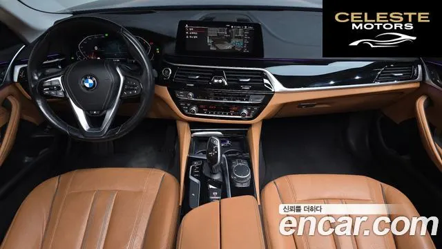 BMW Série 5 (G30) 520i Luxury 2020 — photo 9 sur 32