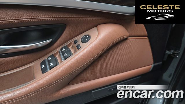 BMW Série 5 (F10) 525d xDrive 2013 — photo 19 sur 20