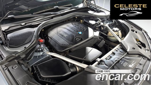 BMW Série 5 (G30) 520d Luxury Plus 2018 — photo 6 sur 20