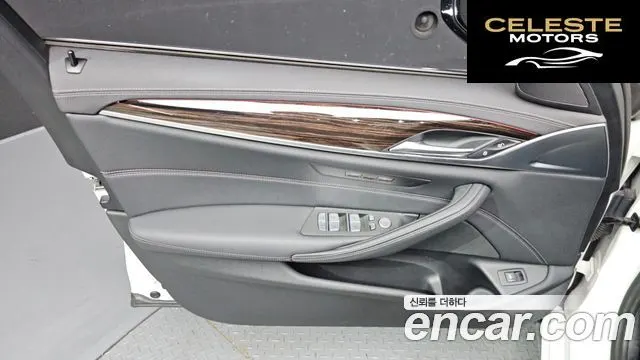 BMW Série 5 (G30) 520i Luxury 2023 — photo 14 sur 31