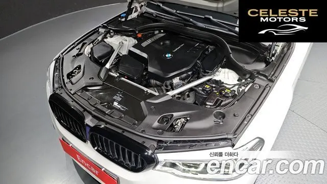 BMW Série 5 (G30) 530i Luxury Plus 2018 — photo 6 sur 26