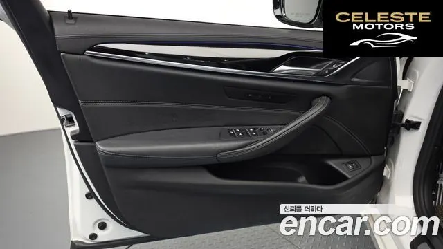 BMW Série 5 (G30) 520d Luxury Plus 2019 — photo 14 sur 37