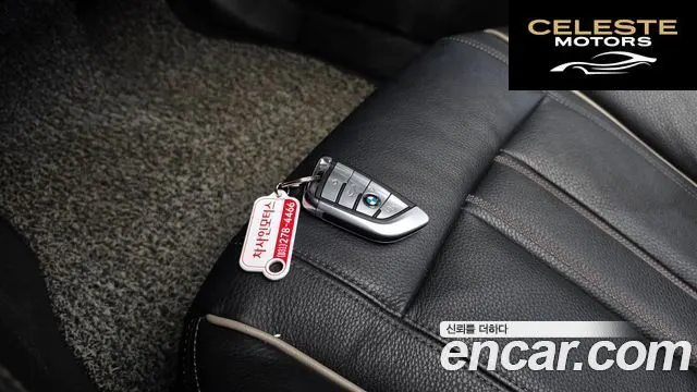 BMW Série 5 (G30) 520d Luxury Plus 2019 — photo 21 sur 37