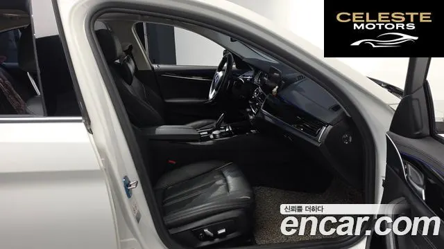 BMW Série 5 (G30) 520d Luxury Plus 2019 — photo 16 sur 37