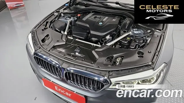 BMW Série 5 (G30) 530i xDrive Luxury Plus 2018 — photo 6 sur 37