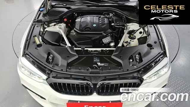 BMW Série 5 (G30) 520d M Sport Plus 2019 — photo 5 sur 33